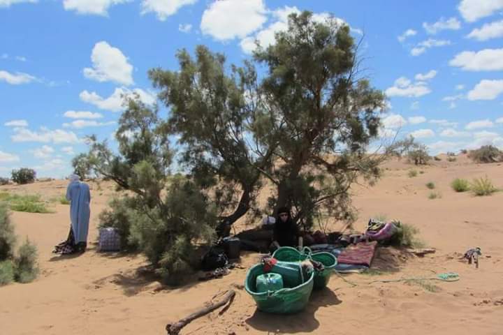 Nomad drums pulse friendly distances